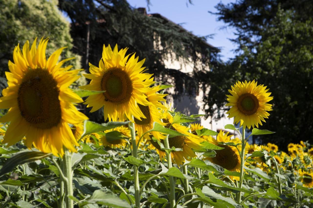 Agriturismo La Topaia Borgo San Lorenzo Luaran gambar