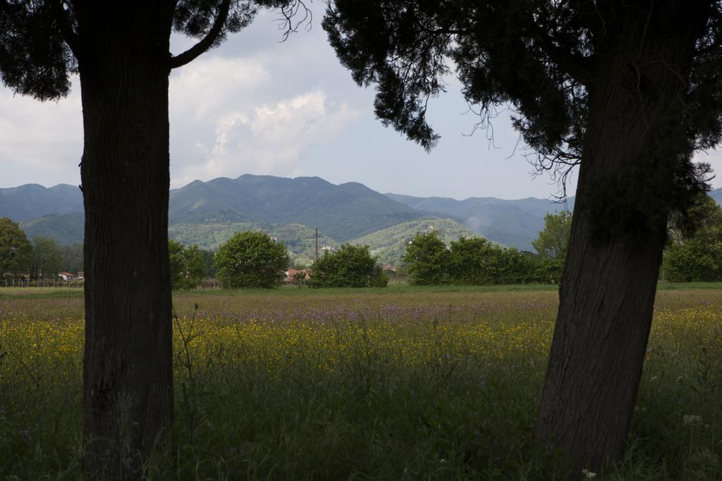 Agriturismo La Topaia Borgo San Lorenzo Luaran gambar