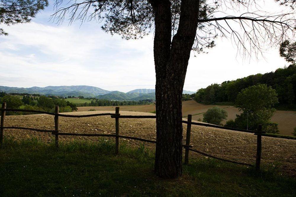 Agriturismo La Topaia Borgo San Lorenzo Luaran gambar