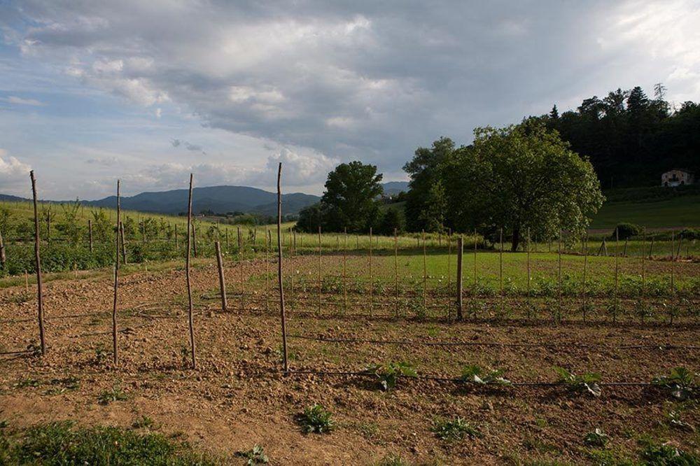 Agriturismo La Topaia Borgo San Lorenzo Luaran gambar
